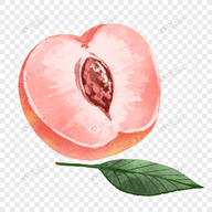 9.1樱花PPT网站大片APPAPP应用
